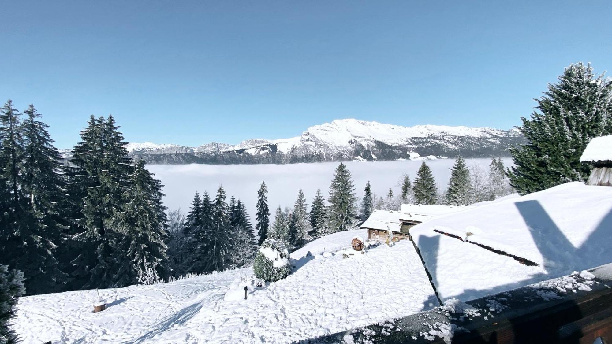 La Ferme Des Vonezins Hotel Thones Bagian luar foto