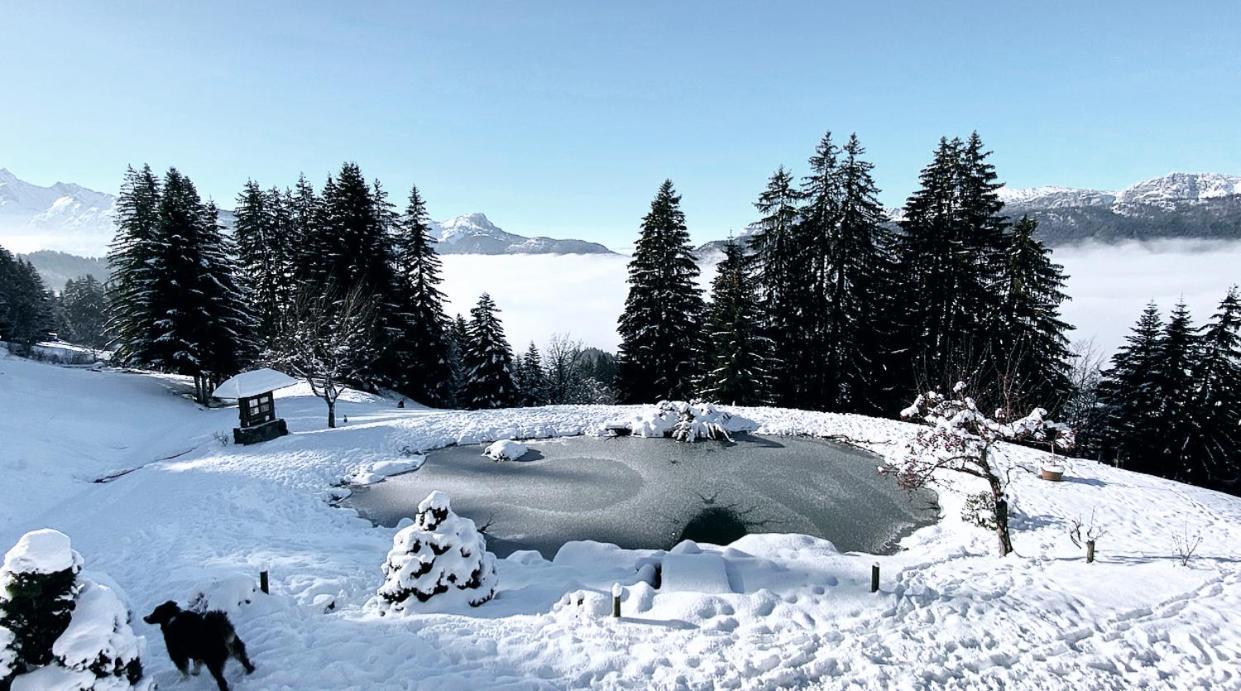 La Ferme Des Vonezins Hotel Thones Bagian luar foto